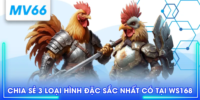 Chia sẻ 3 loại hình đặc sắc nhất có tại WS168