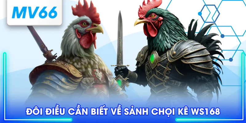Đôi điều cần biết về sảnh chọi kê WS168