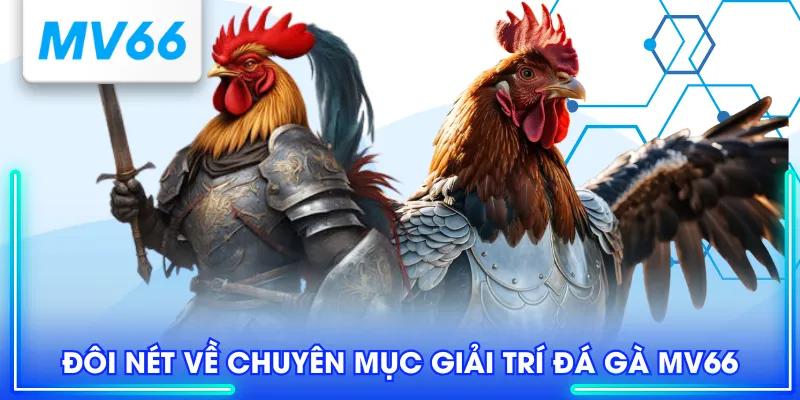 Đôi nét về chuyên mục giải trí đá gà MV66