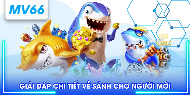 MG Bắn Cá - Nơi Hóa Thân Thành Thiện Xạ, Săn Xu Cực Khủng 4 Giải đáp chi tiết về sảnh cho người mới