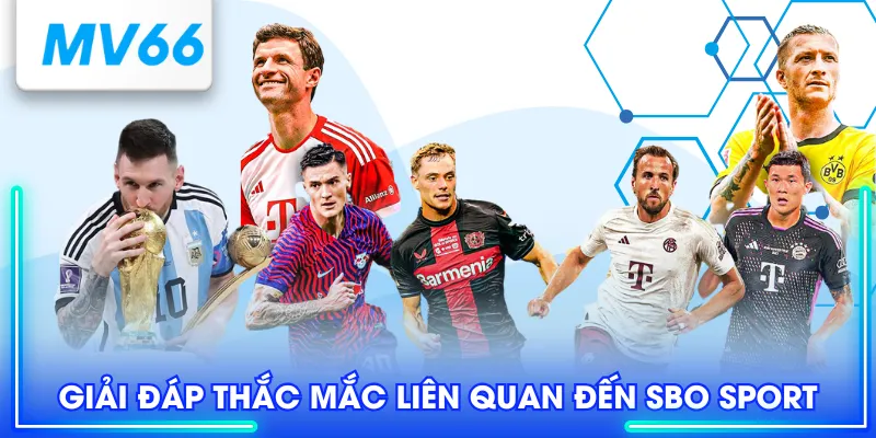 SBO Sport - Trải Nghiệm Thể Thao Trực Tuyến Cực Đã 4 Giải đáp thắc mắc liên quan đến SBO Sport