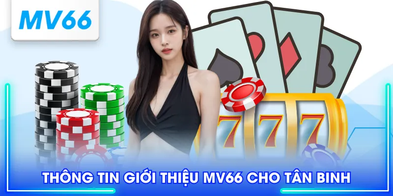Thông tin giới thiệu MV66 cho tân binh