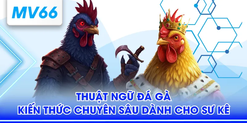 Thuật ngữ đá gà