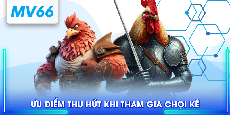 Ưu điểm thu hút khi tham gia chọi kê